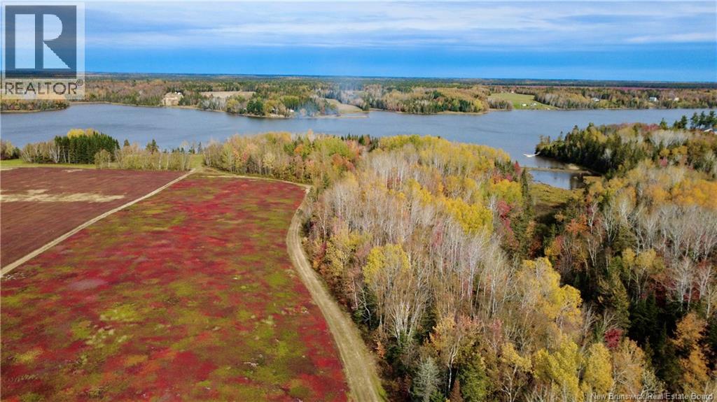 31.7 Acres Straight Brook Road, Tabusintac, New Brunswick  E9H 2B3 - Photo 9 - NB149496