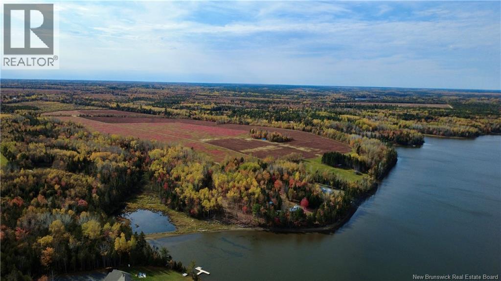 31.7 Acres Straight Brook Road, Tabusintac, New Brunswick  E9H 2B3 - Photo 14 - NB149496
