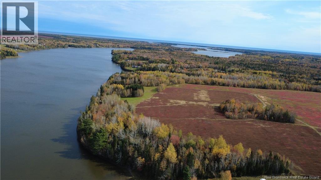 31.7 Acres Straight Brook Road, Tabusintac, New Brunswick  E9H 2B3 - Photo 20 - NB149496