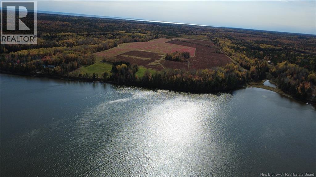 31.7 Acres Straight Brook Road, Tabusintac, New Brunswick  E9H 2B3 - Photo 22 - NB149496
