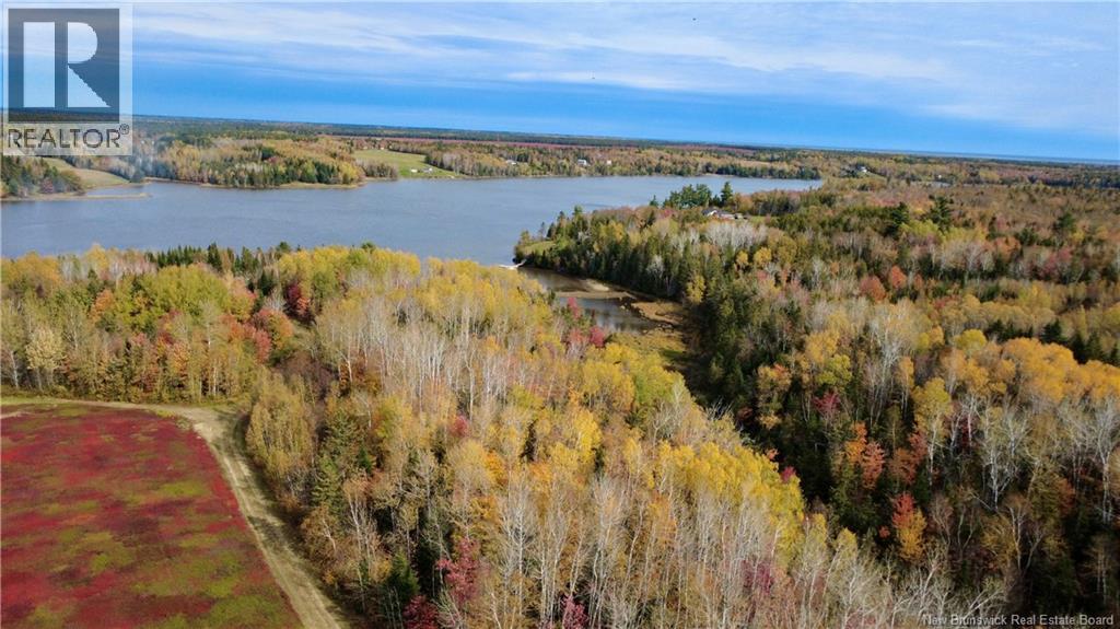 31.7 Acres Straight Brook Road, Tabusintac, New Brunswick  E9H 2B3 - Photo 8 - NB149517