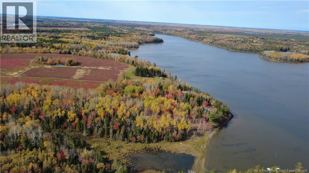 31.7 Acres Straight Brook Road, Tabusintac, New Brunswick  E9H 2B3 - Photo 16 - NB149517