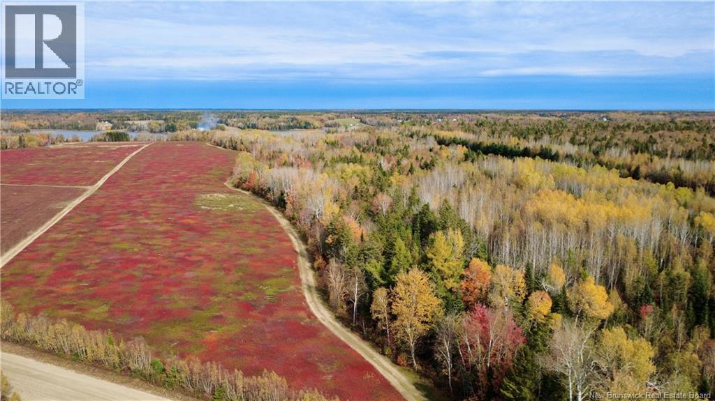 31.7 Acres Straight Brook Road, Tabusintac, New Brunswick  E9H 2B3 - Photo 6 - NB149517