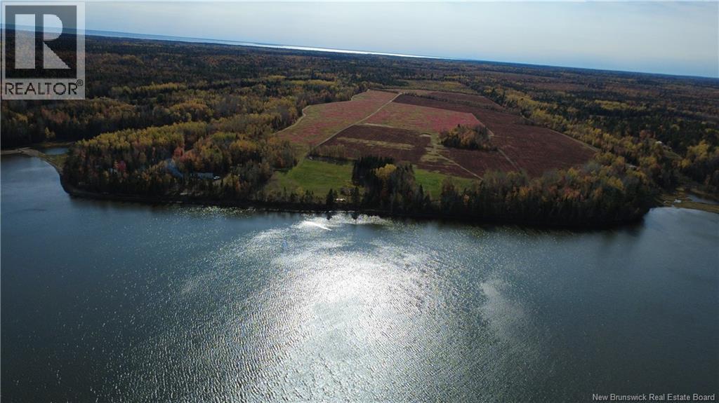 31.7 Acres Straight Brook Road, Tabusintac, New Brunswick  E9H 2B3 - Photo 23 - NB149517