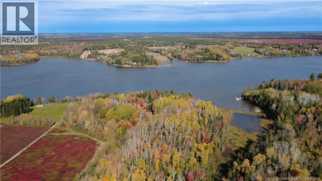 31.7 Acres Straight Brook Road, Tabusintac, New Brunswick  E9H 2B3 - Photo 18 - NB149517