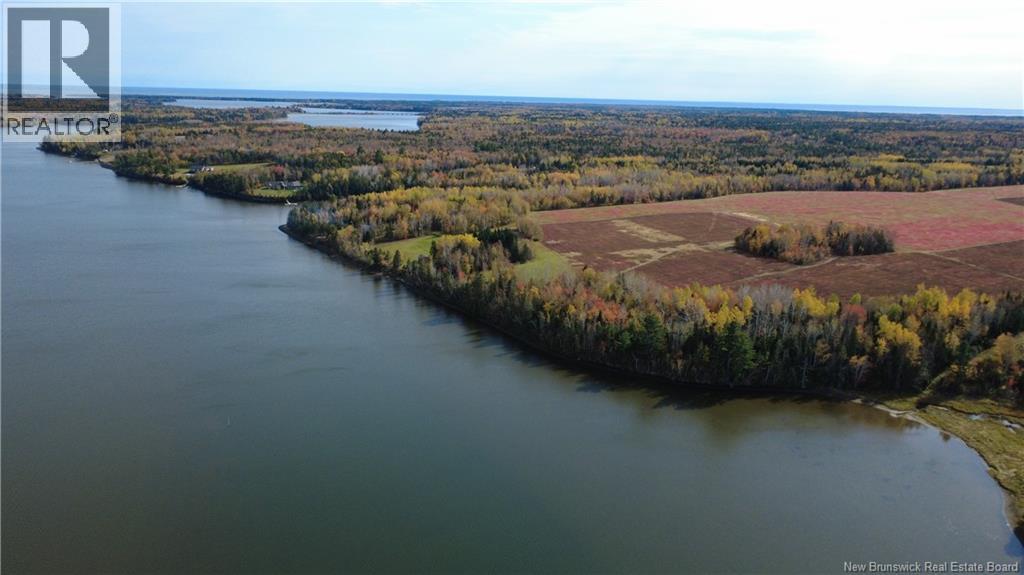 31.7 Acres Straight Brook Road, Tabusintac, New Brunswick  E9H 2B3 - Photo 21 - NB149517
