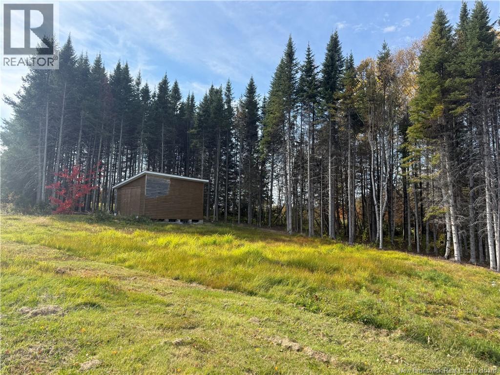 31.7 Acres Straight Brook Road, Tabusintac, New Brunswick  E9H 2B3 - Photo 26 - NB149517