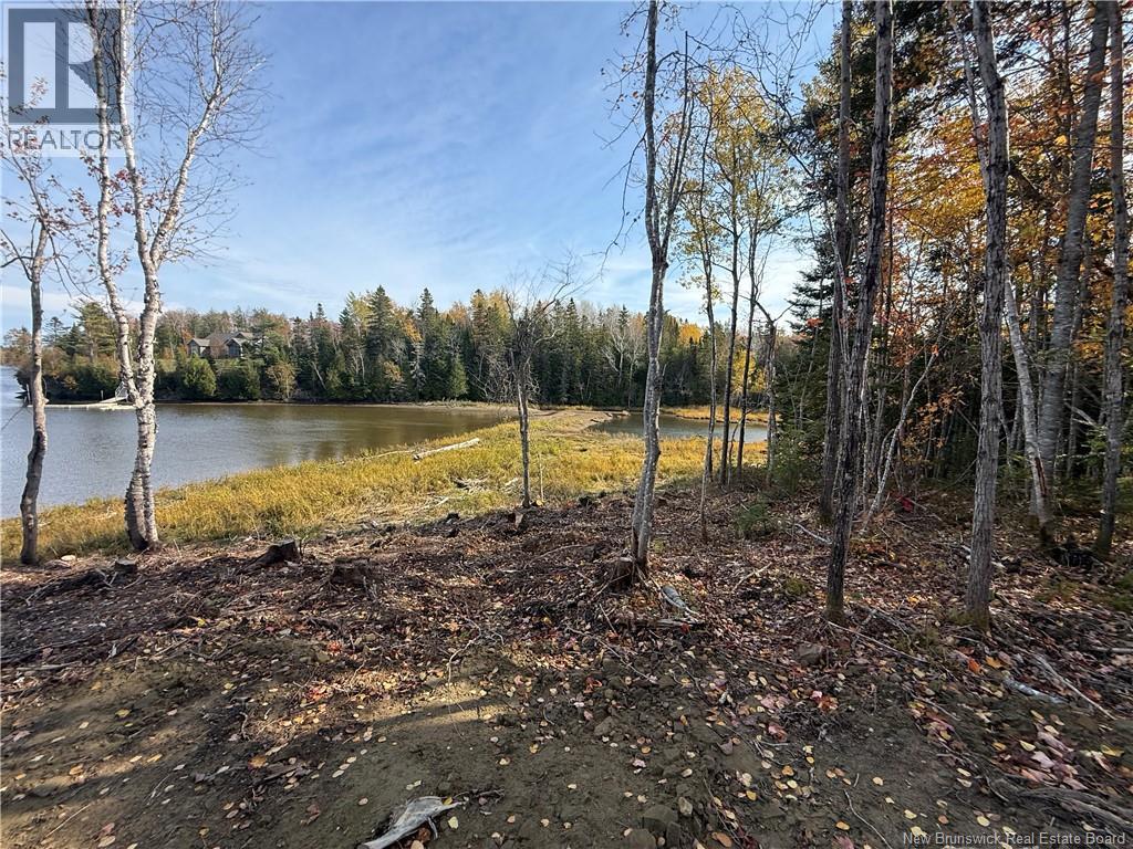 31.7 Acres Straight Brook Road, Tabusintac, New Brunswick  E9H 2B3 - Photo 45 - NB149517