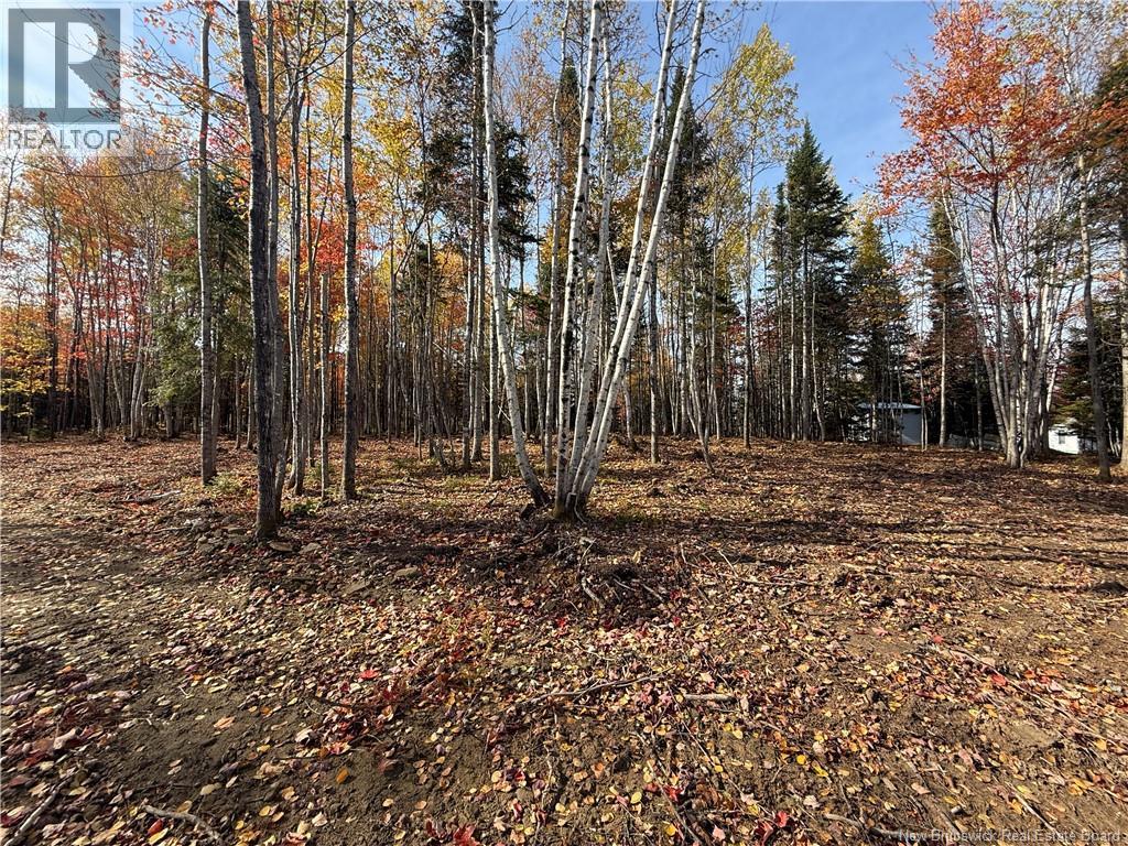 31.7 Acres Straight Brook Road, Tabusintac, New Brunswick  E9H 2B3 - Photo 47 - NB149517