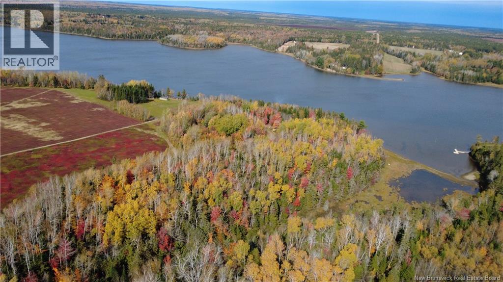 31.7 Acres Straight Brook Road, Tabusintac, New Brunswick  E9H 2B3 - Photo 17 - NB149517