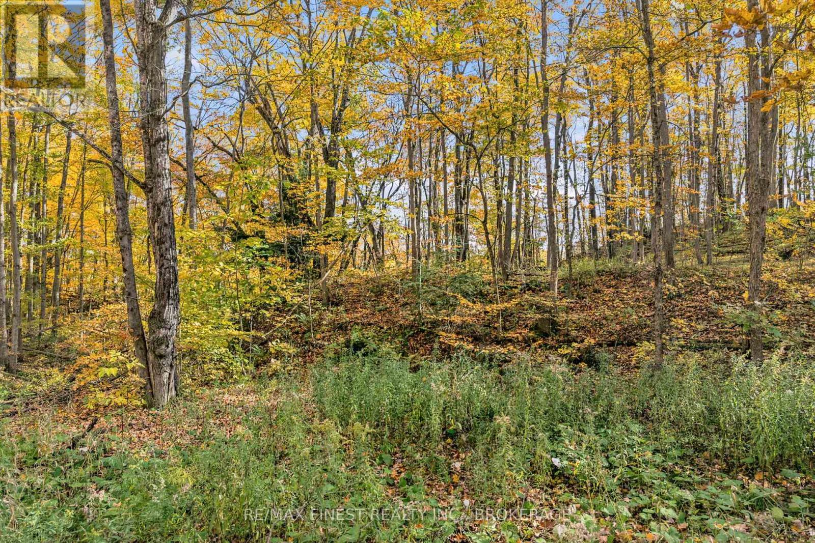 Lot 0 Sweetfern Lane, Frontenac, Ontario K0H 1H0 - Photo 6 - X14099786