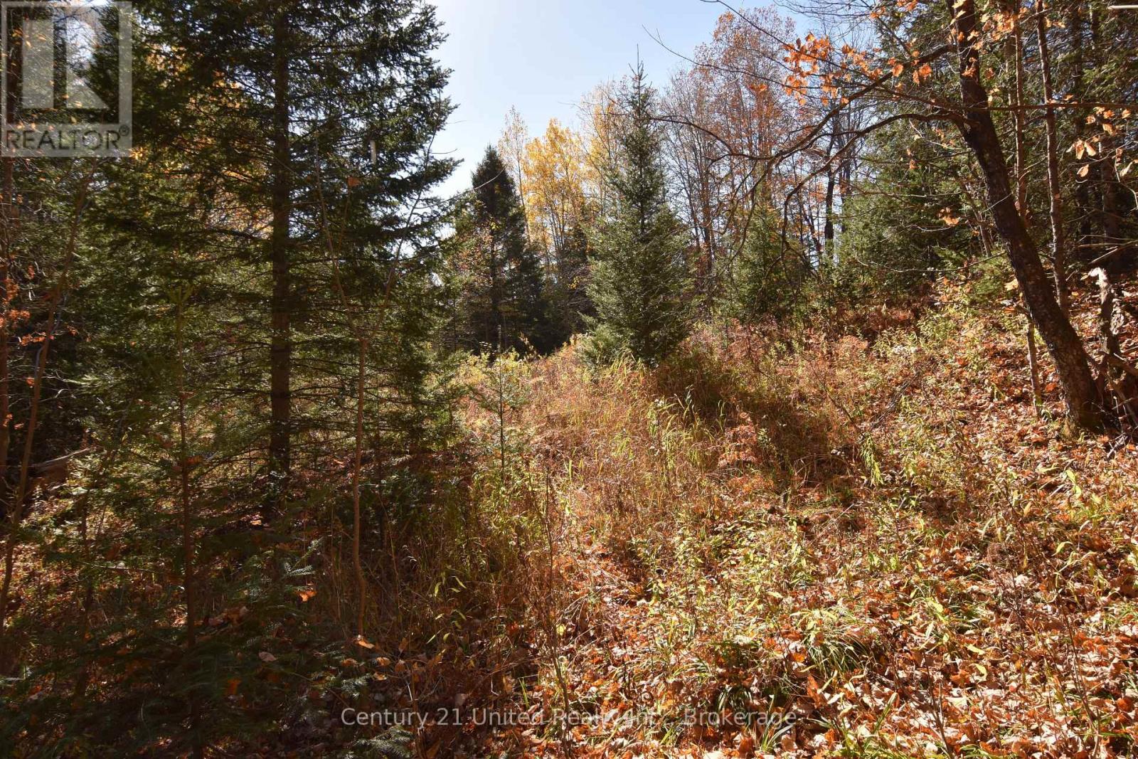 0 Highway 620, Wollaston, Ontario  K0L 1A0 - Photo 6 - X14099810