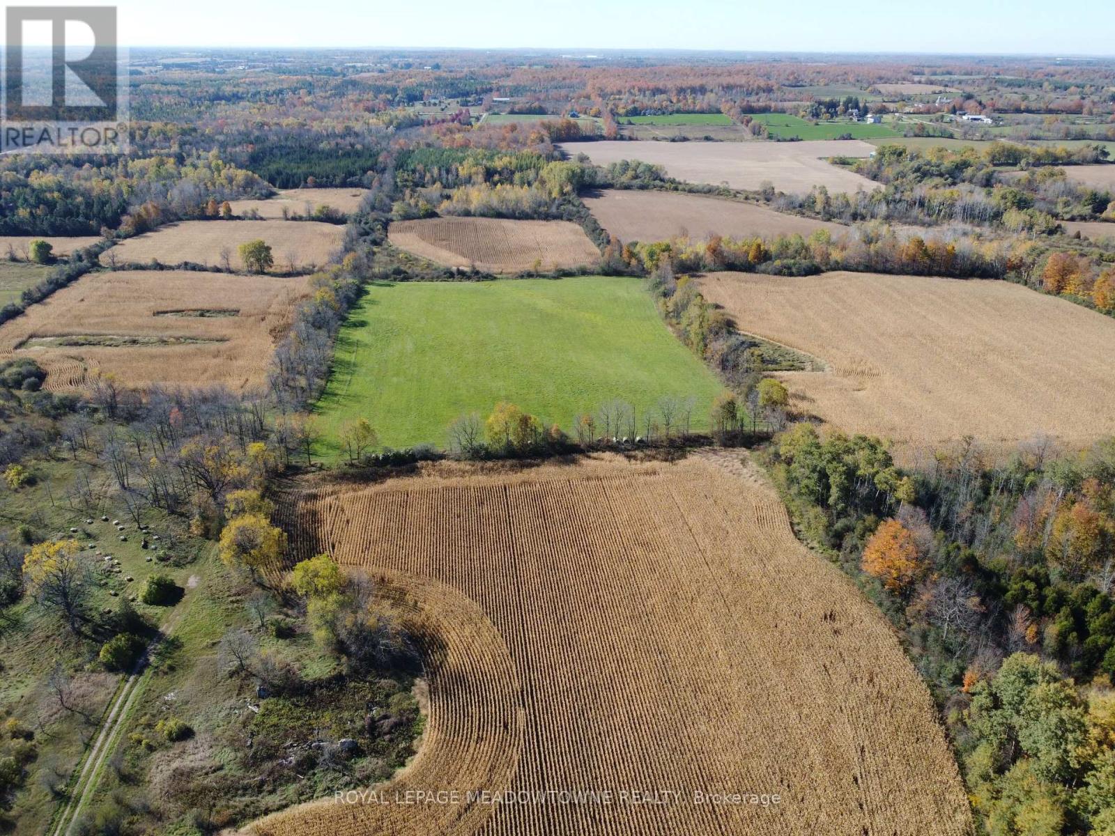 11080 First Line Nassagaweya, Milton, Ontario  L0P 1J0 - Photo 3 - W13724806