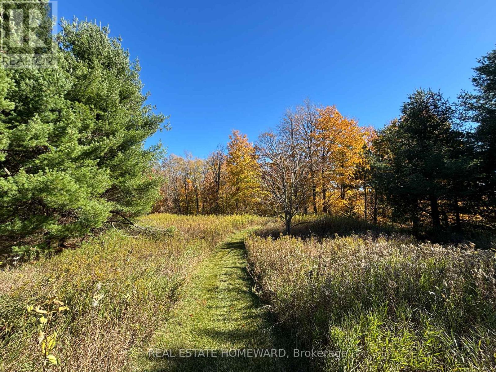 595343 Blindline Road, Mono, Ontario  L0N 1S5 - Photo 23 - X14100310