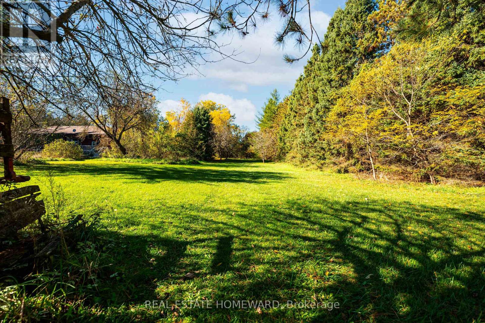 595343 Blindline Road, Mono, Ontario  L0N 1S5 - Photo 4 - X14100310