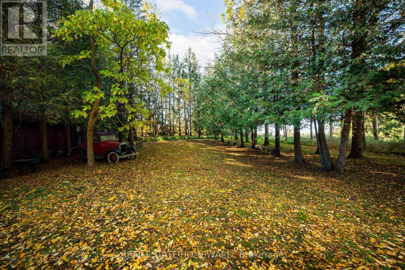 595343 Blindline Road, Mono, Ontario  L0N 1S5 - Photo 5 - X14100310