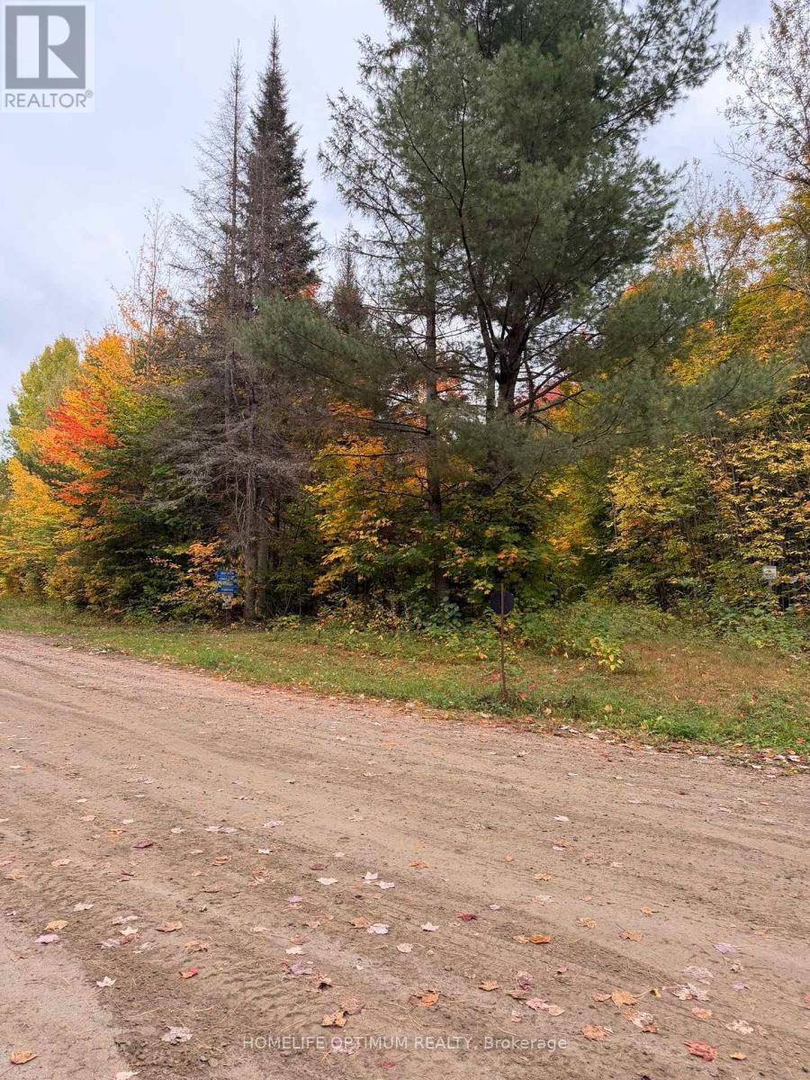 PT LT 26 CON A LOGGERS ROAD, Head, Ontario