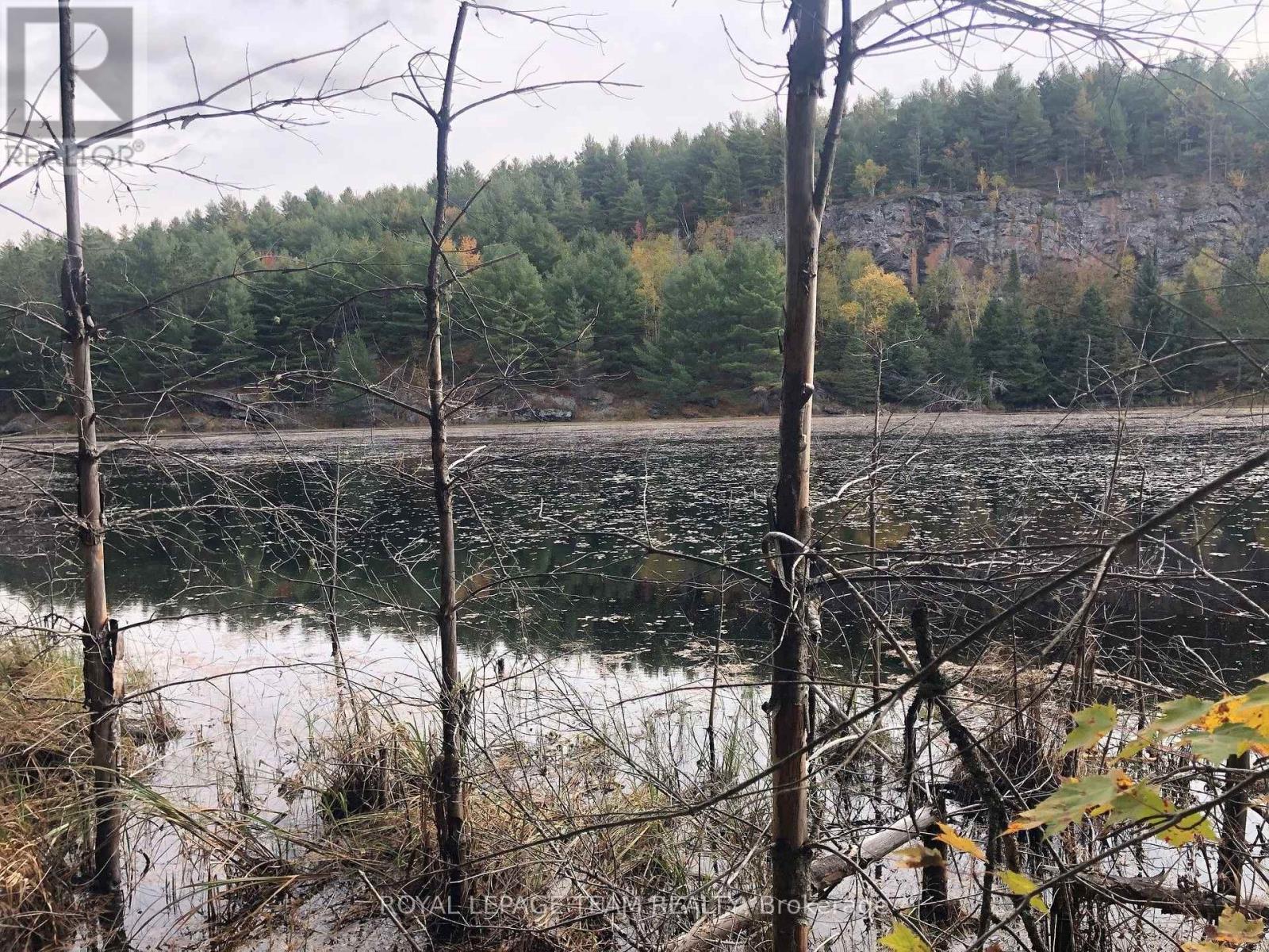 Pt Lot 10 Con 10 Lavant ., Lanark Highlands, Ontario  K0G 1K0 - Photo 10 - X13770332
