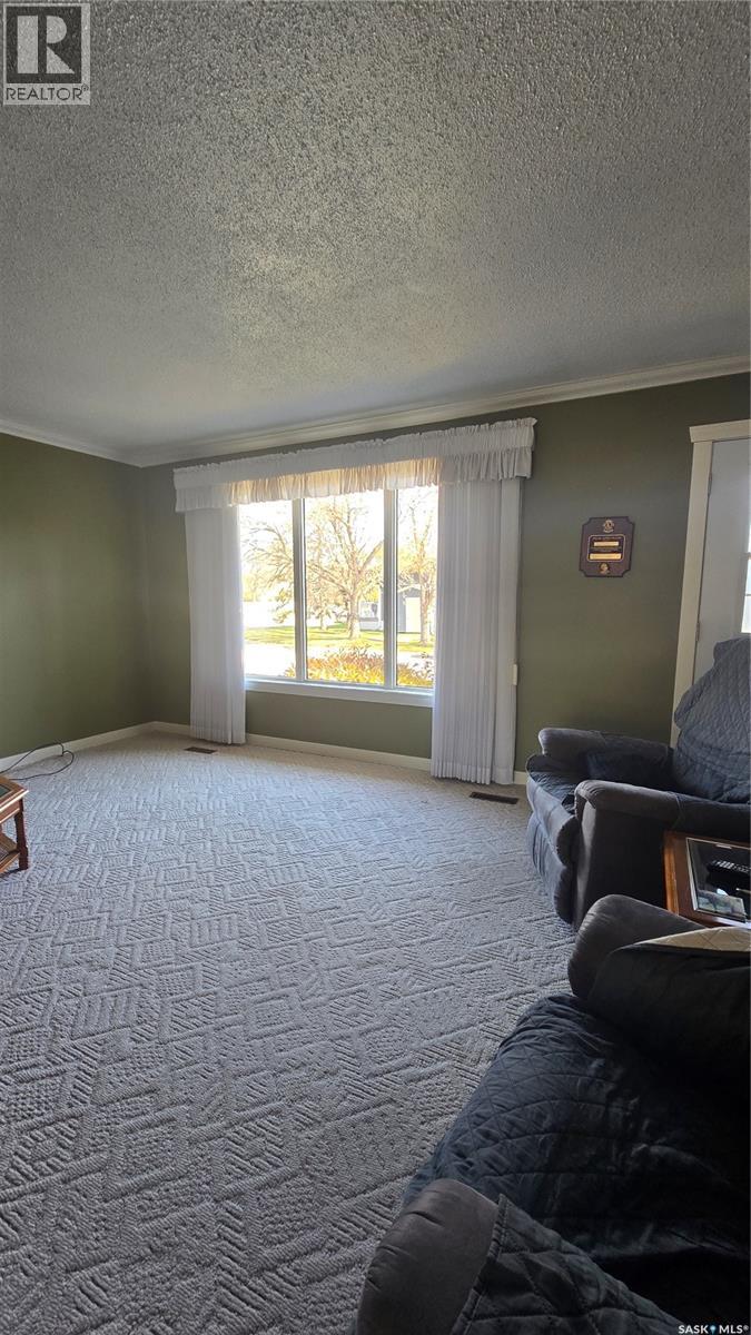 304 1st Street E, Carnduff, Saskatchewan  S0C 0S0 - Photo 18 - SK051597