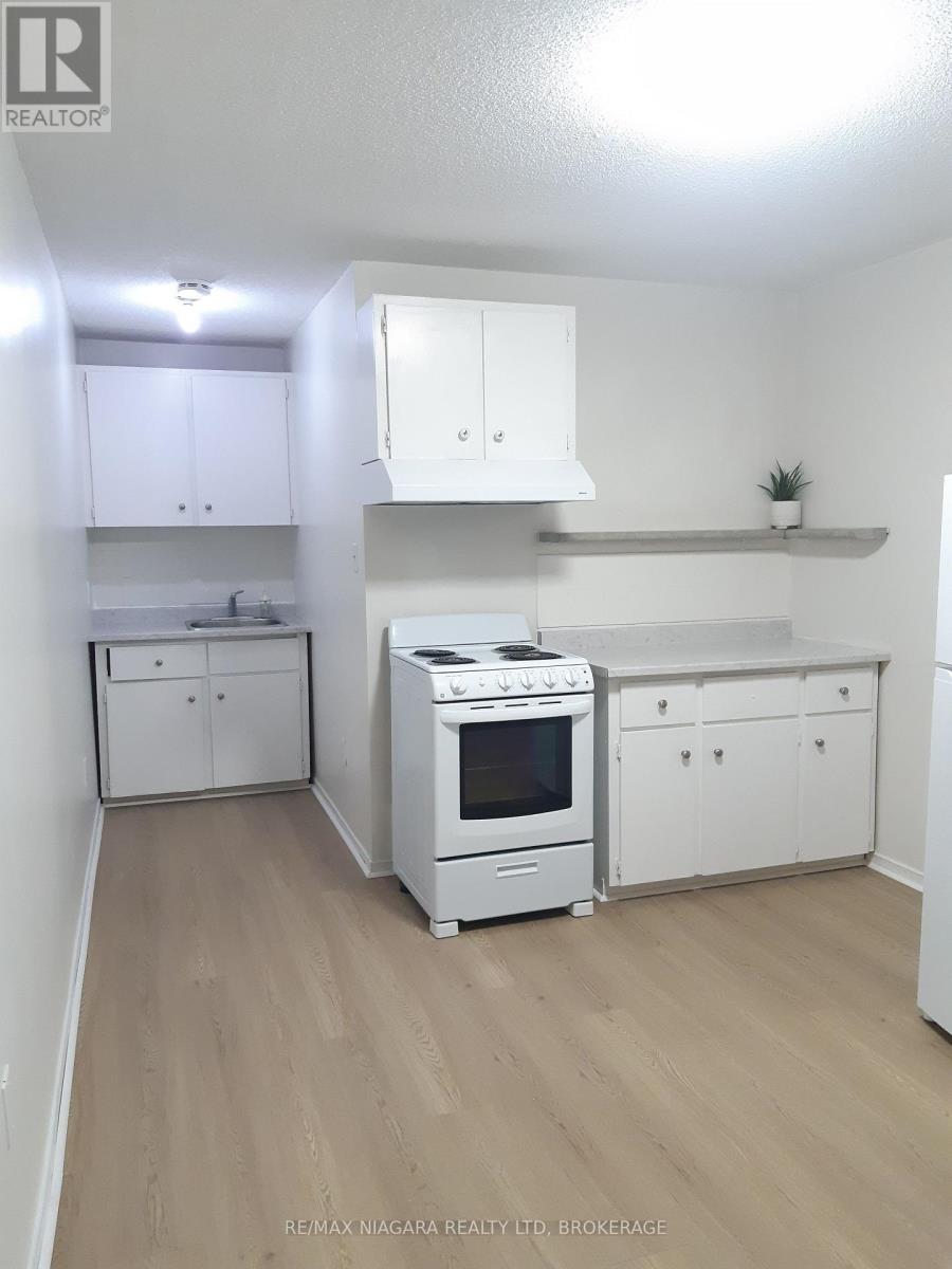 Unit 1 - 109 George Street, St. Catharines, Ontario  L2R 5P2 - Photo 5 - X14087980