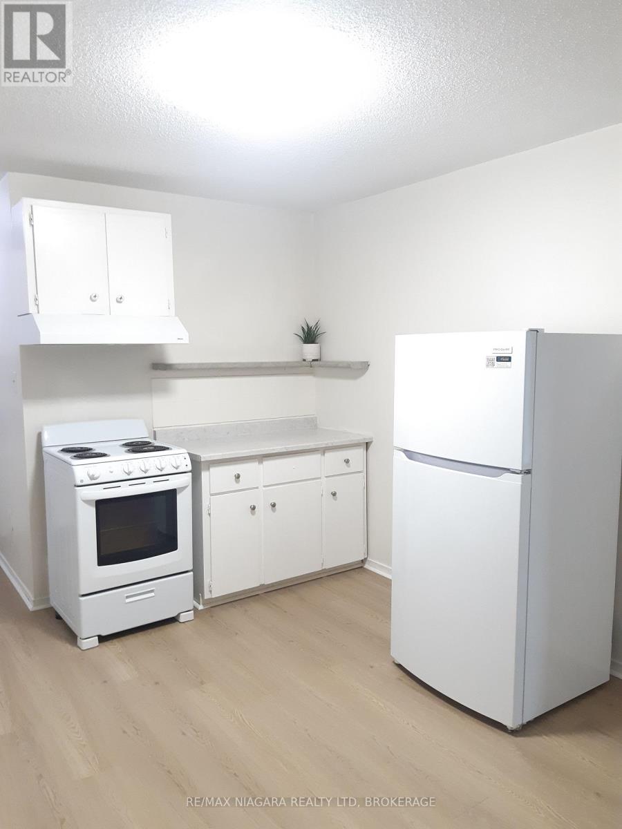 Unit 1 - 109 George Street, St. Catharines, Ontario  L2R 5P2 - Photo 4 - X14087980