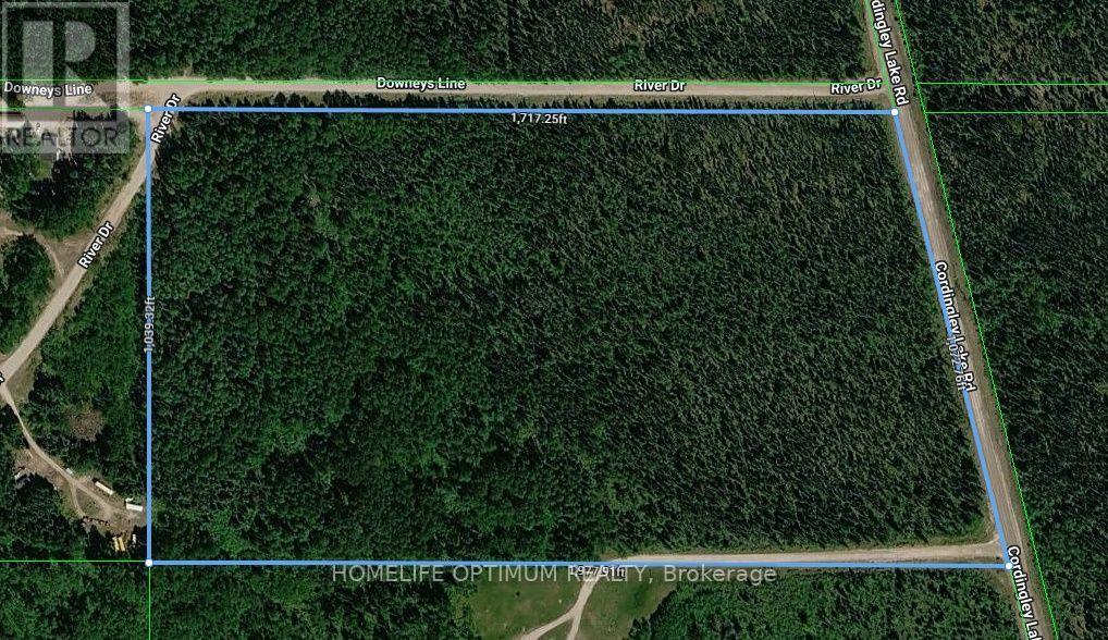 Pcl 8046 Cordingley Lake Road N, Greenstone, Ontario  P0T 2H0 - Photo 1 - X14100888