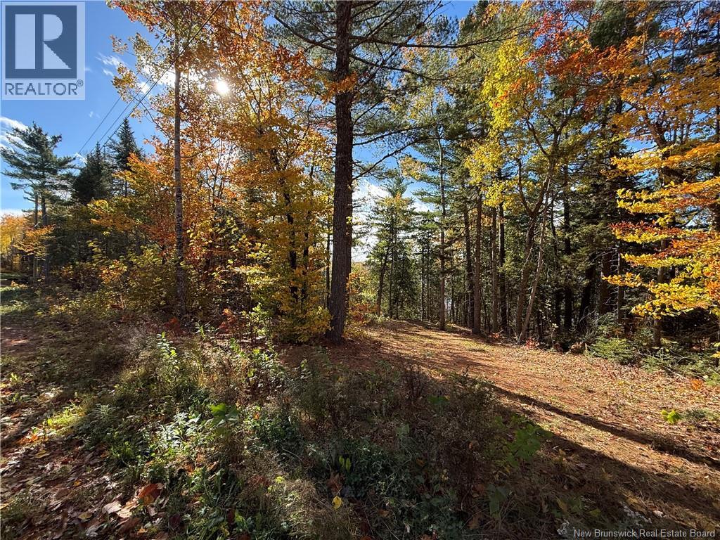 74 Barnes Point Road, Cambridge-Narrows, New Brunswick  E4C 2E6 - Photo 11 - NB149650