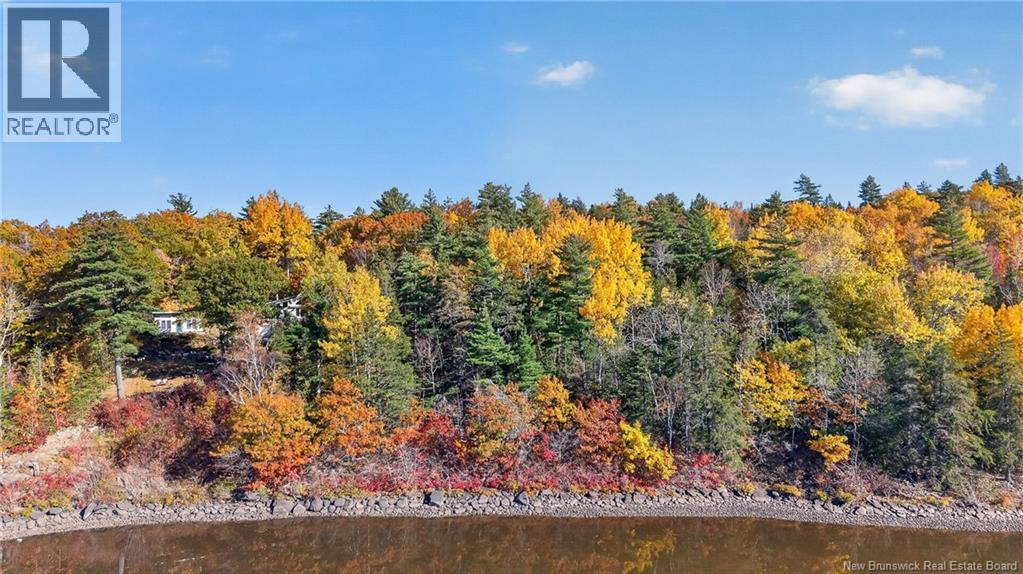 74 Barnes Point Road, Cambridge-Narrows, New Brunswick  E4C 2E6 - Photo 3 - NB149650