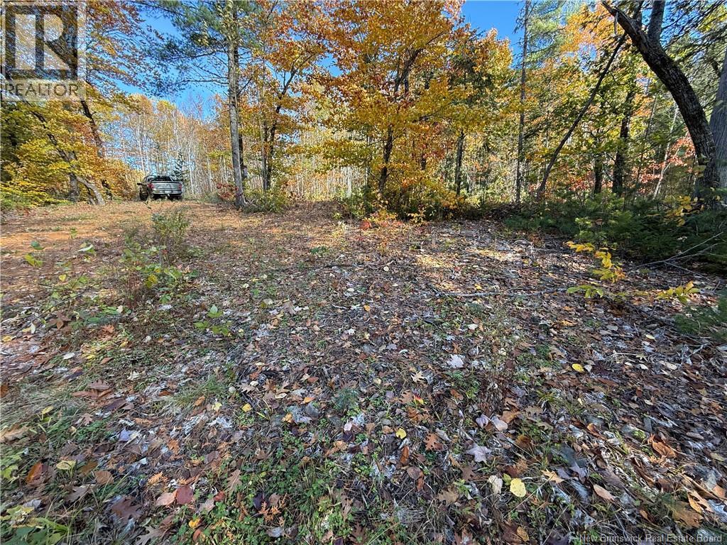 74 Barnes Point Road, Cambridge-Narrows, New Brunswick  E4C 2E6 - Photo 15 - NB149650