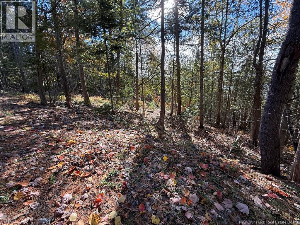 74 Barnes Point Road, Cambridge-Narrows, New Brunswick  E4C 2E6 - Photo 19 - NB149650