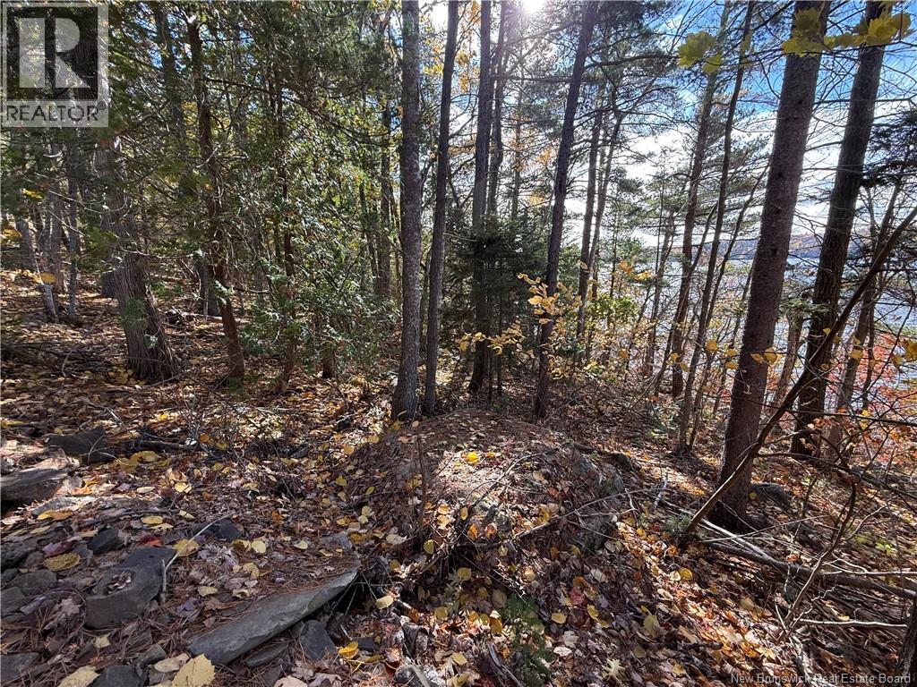 74 Barnes Point Road, Cambridge-Narrows, New Brunswick  E4C 2E6 - Photo 21 - NB149650