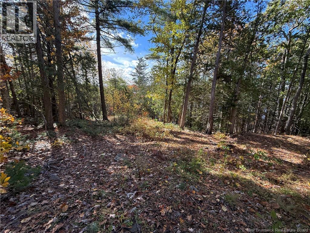 74 Barnes Point Road, Cambridge-Narrows, New Brunswick  E4C 2E6 - Photo 24 - NB149650