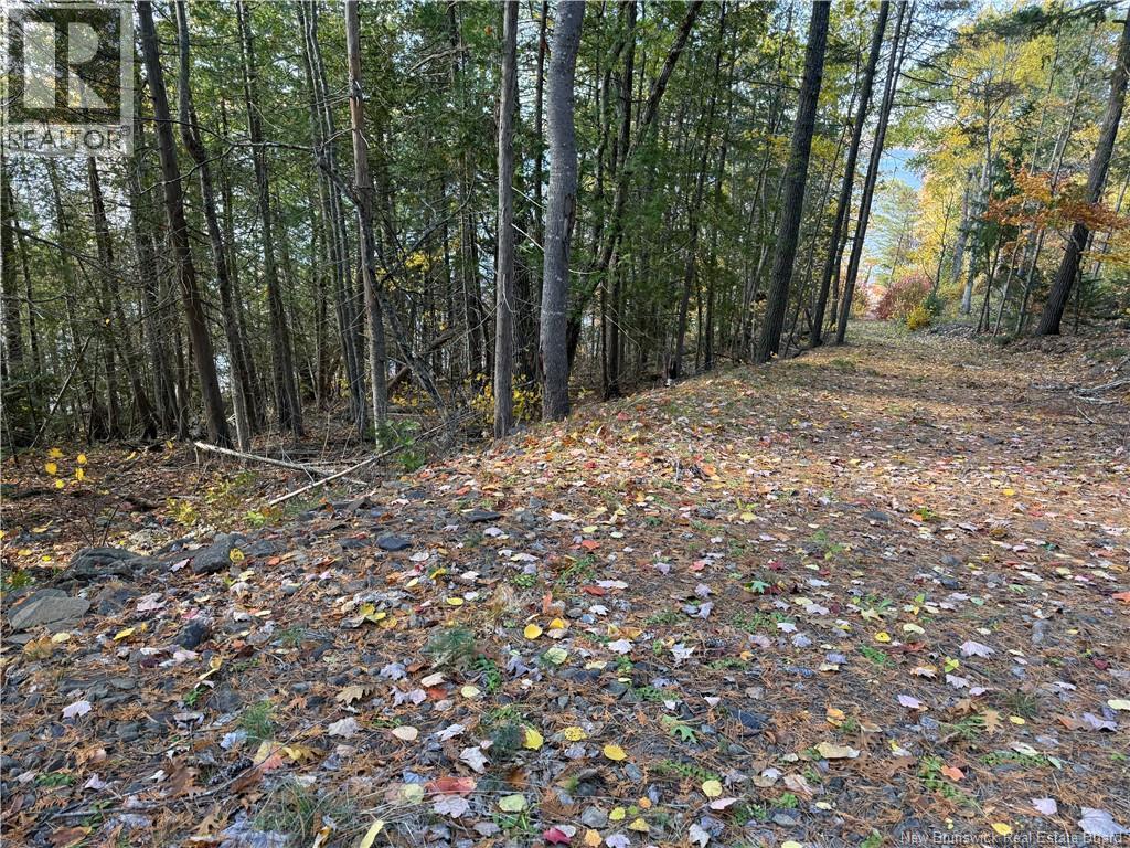 74 Barnes Point Road, Cambridge-Narrows, New Brunswick  E4C 2E6 - Photo 13 - NB149650