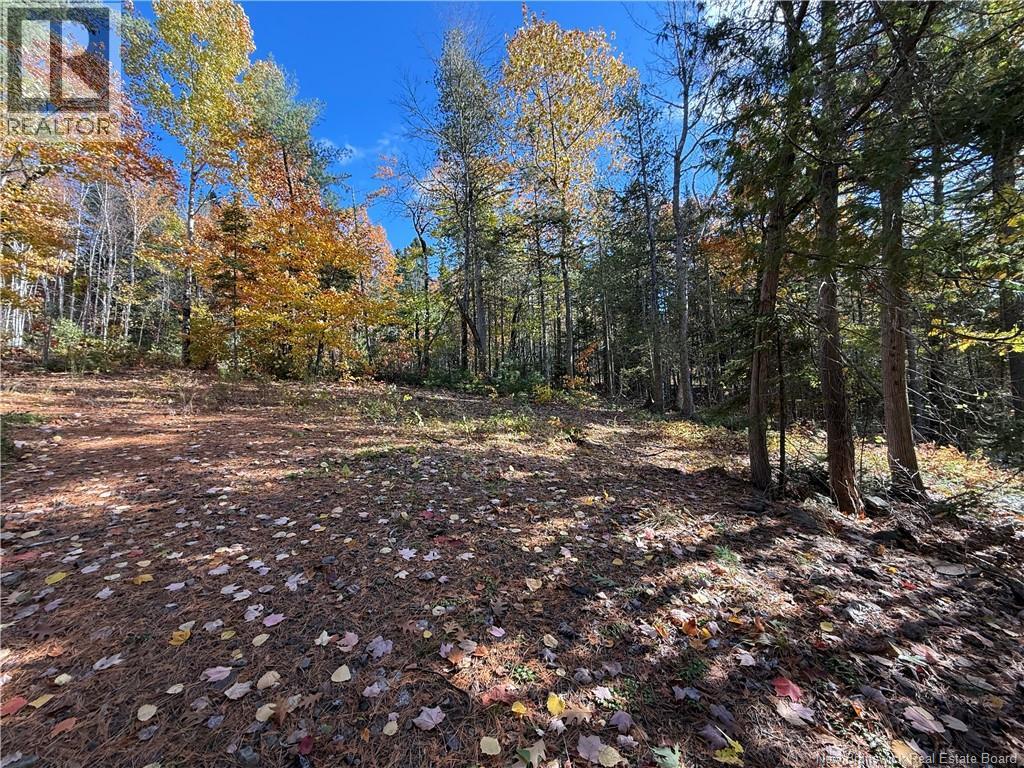 74 Barnes Point Road, Cambridge-Narrows, New Brunswick  E4C 2E6 - Photo 18 - NB149650