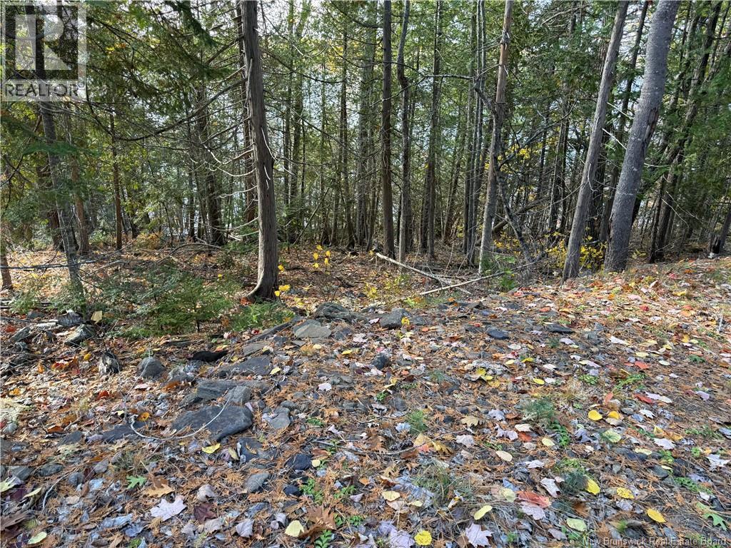 74 Barnes Point Road, Cambridge-Narrows, New Brunswick  E4C 2E6 - Photo 23 - NB149650