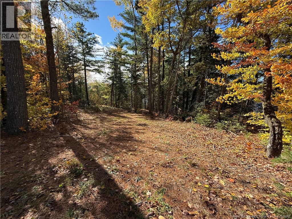 74 Barnes Point Road, Cambridge-Narrows, New Brunswick  E4C 2E6 - Photo 12 - NB149650