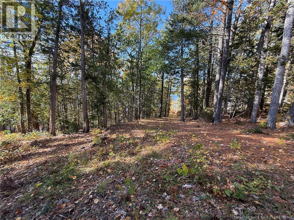 74 Barnes Point Road, Cambridge-Narrows, New Brunswick  E4C 2E6 - Photo 16 - NB149650