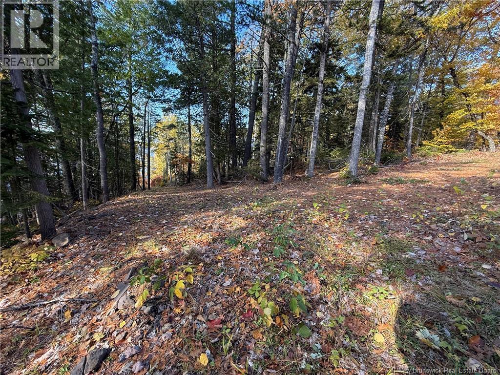 74 Barnes Point Road, Cambridge-Narrows, New Brunswick  E4C 2E6 - Photo 17 - NB149650