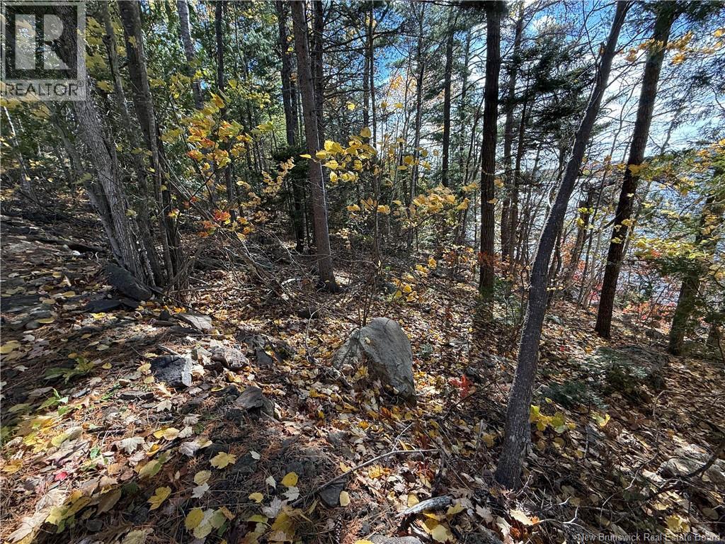 74 Barnes Point Road, Cambridge-Narrows, New Brunswick  E4C 2E6 - Photo 22 - NB149650