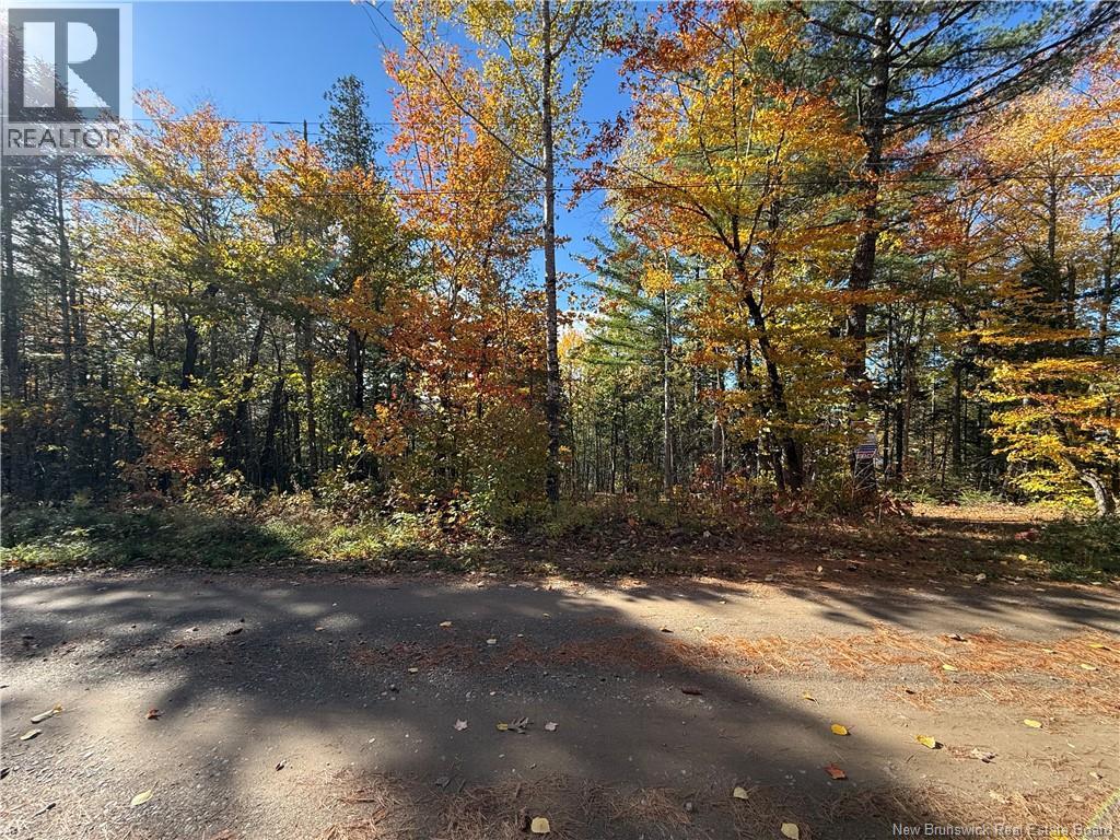 74 Barnes Point Road, Cambridge-Narrows, New Brunswick  E4C 2E6 - Photo 14 - NB149650