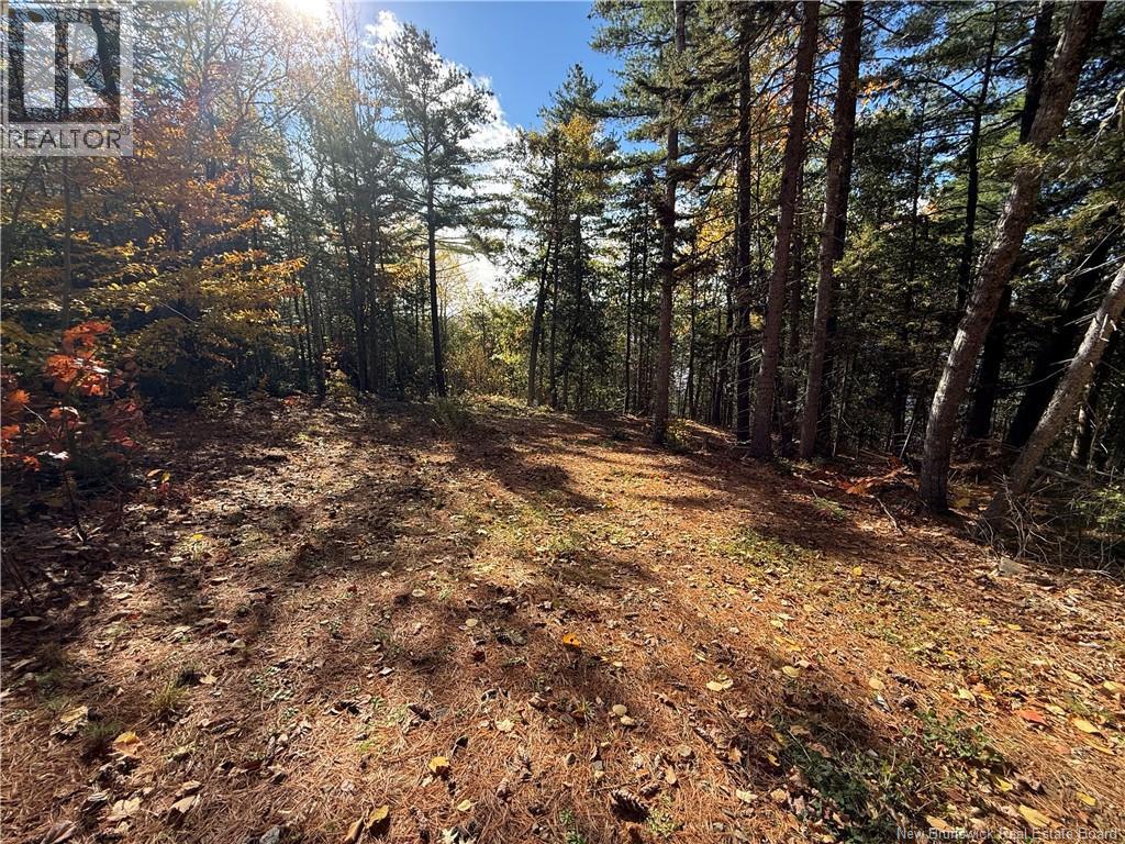 74 Barnes Point Road, Cambridge-Narrows, New Brunswick  E4C 2E6 - Photo 25 - NB149650