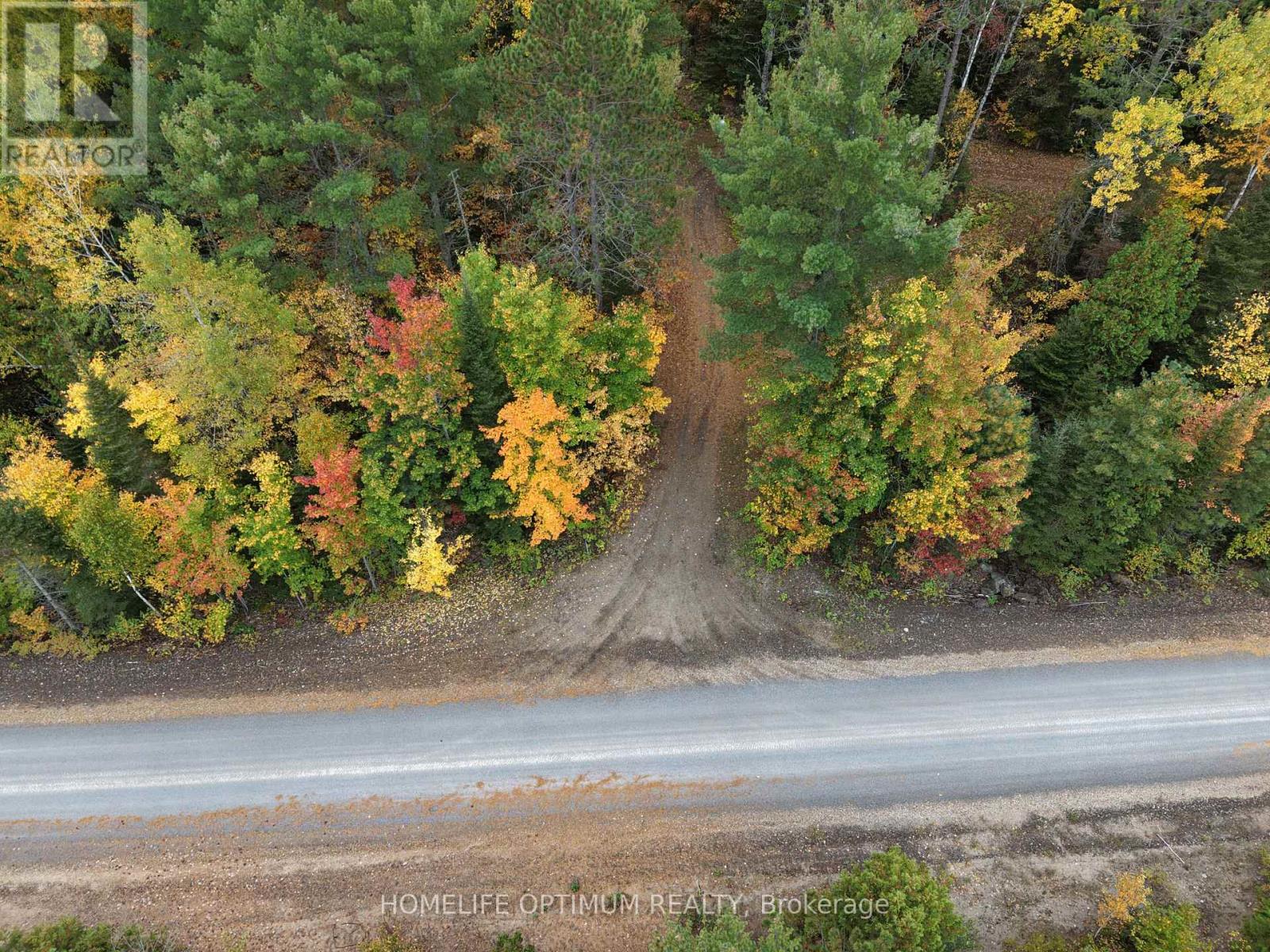 Pt Lt 26 Con A Loggers Road, Head, Ontario  K0J 2B0 - Photo 7 - X14100462