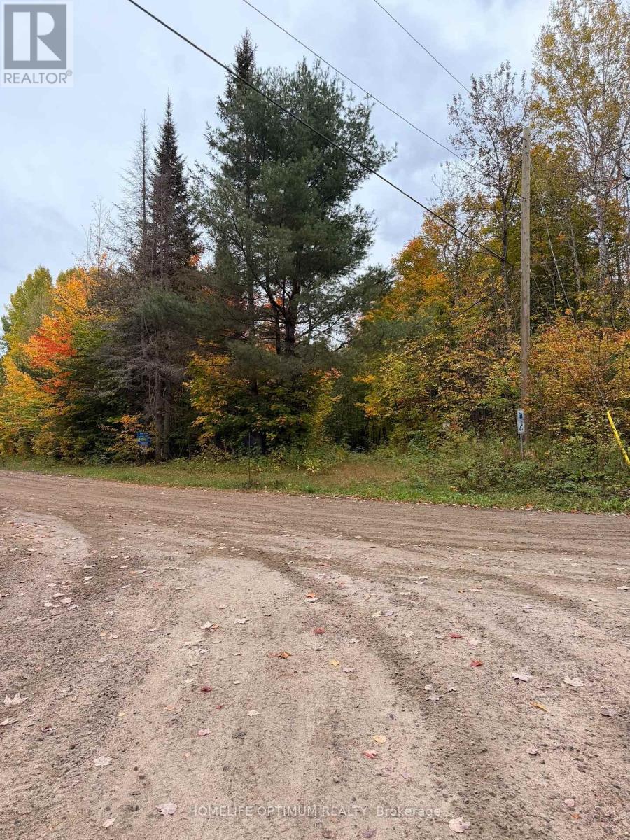 Pt Lt 26 Con A Loggers Road, Head, Ontario  K0J 2B0 - Photo 6 - X14100462