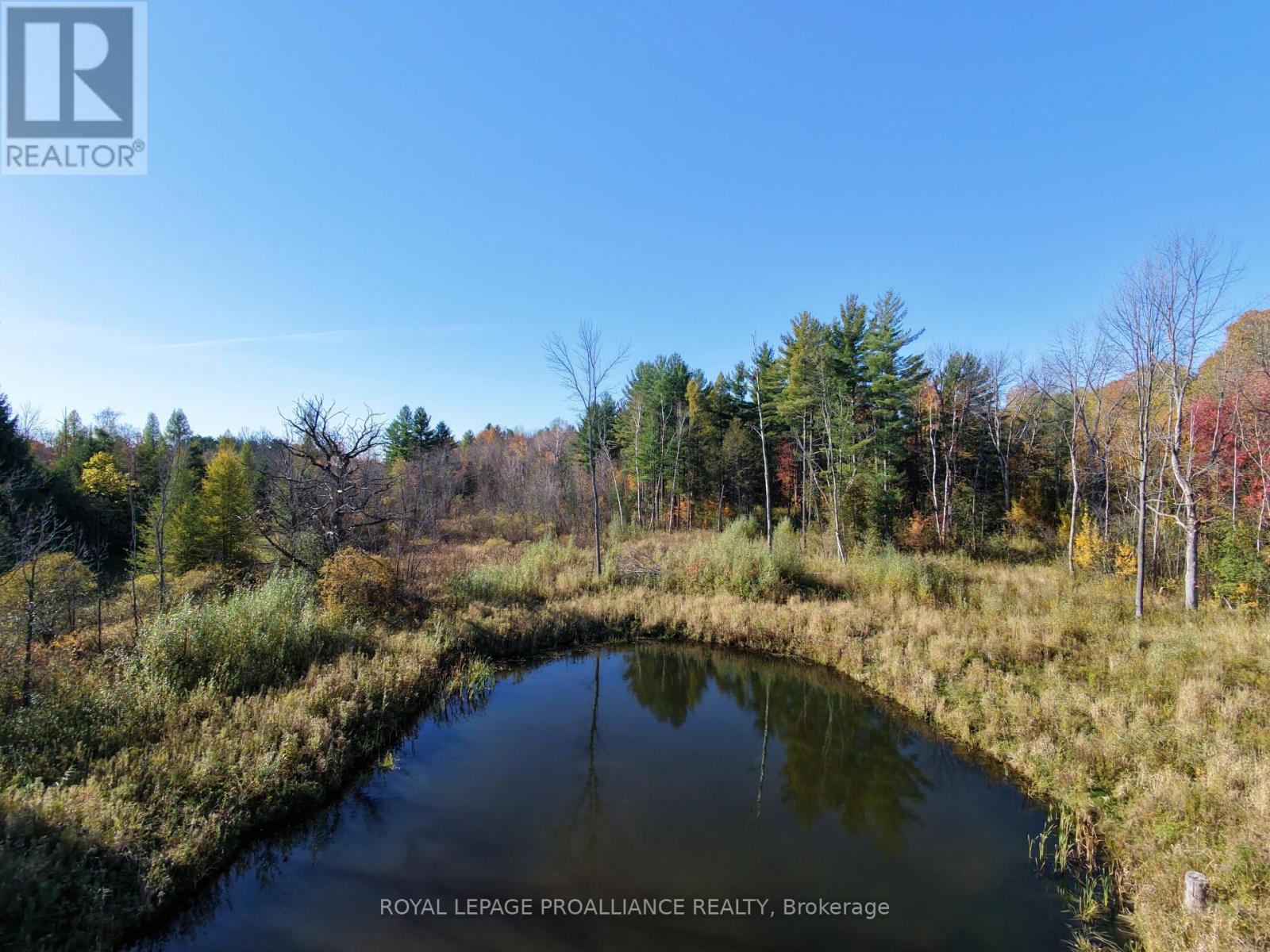 2102 County 44 Road, Edwardsburgh/cardinal, Ontario  K0E 1X0 - Photo 10 - X13425766