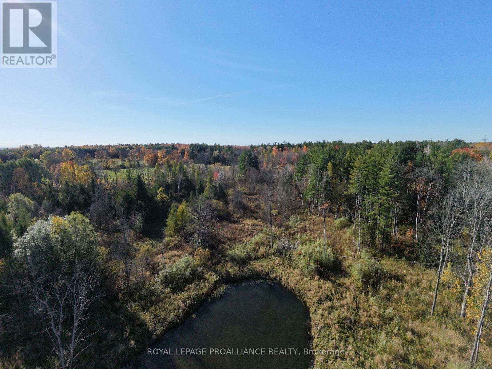 2102 County 44 Road, Edwardsburgh/cardinal, Ontario  K0E 1X0 - Photo 6 - X13425766