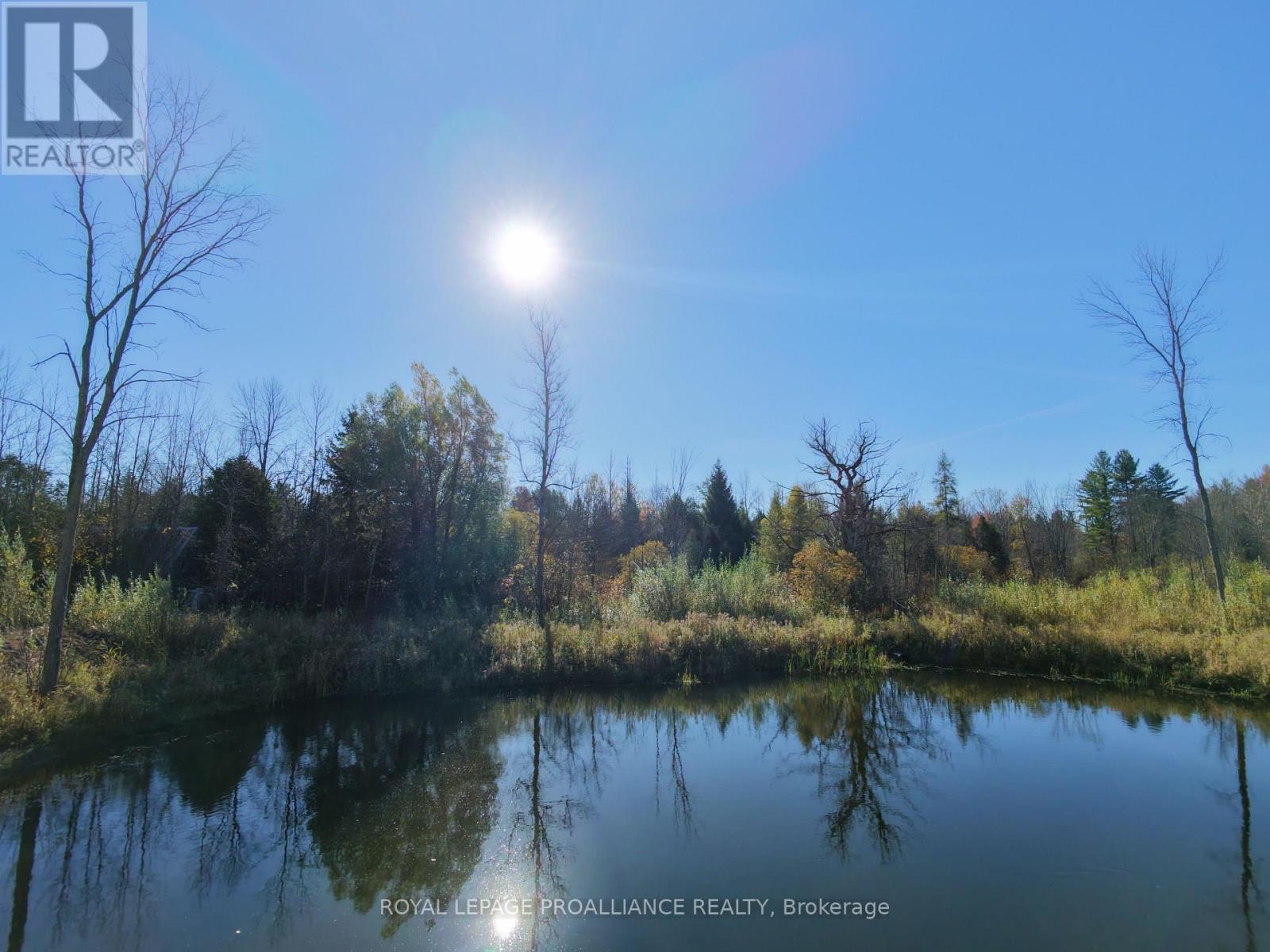 2102 County 44 Road, Edwardsburgh/cardinal, Ontario  K0E 1X0 - Photo 8 - X13425766
