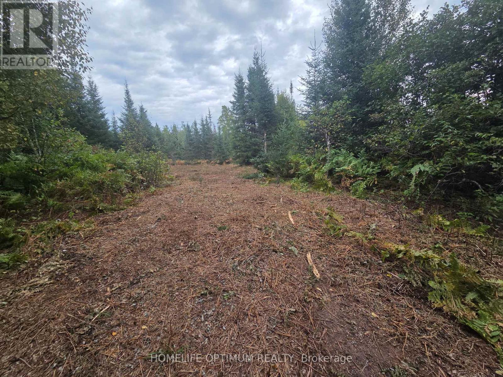 Pcl 8313 & Pcl 8314 Godfrey Township, Timmins, Ontario  P4R 1M9 - Photo 7 - T14101212