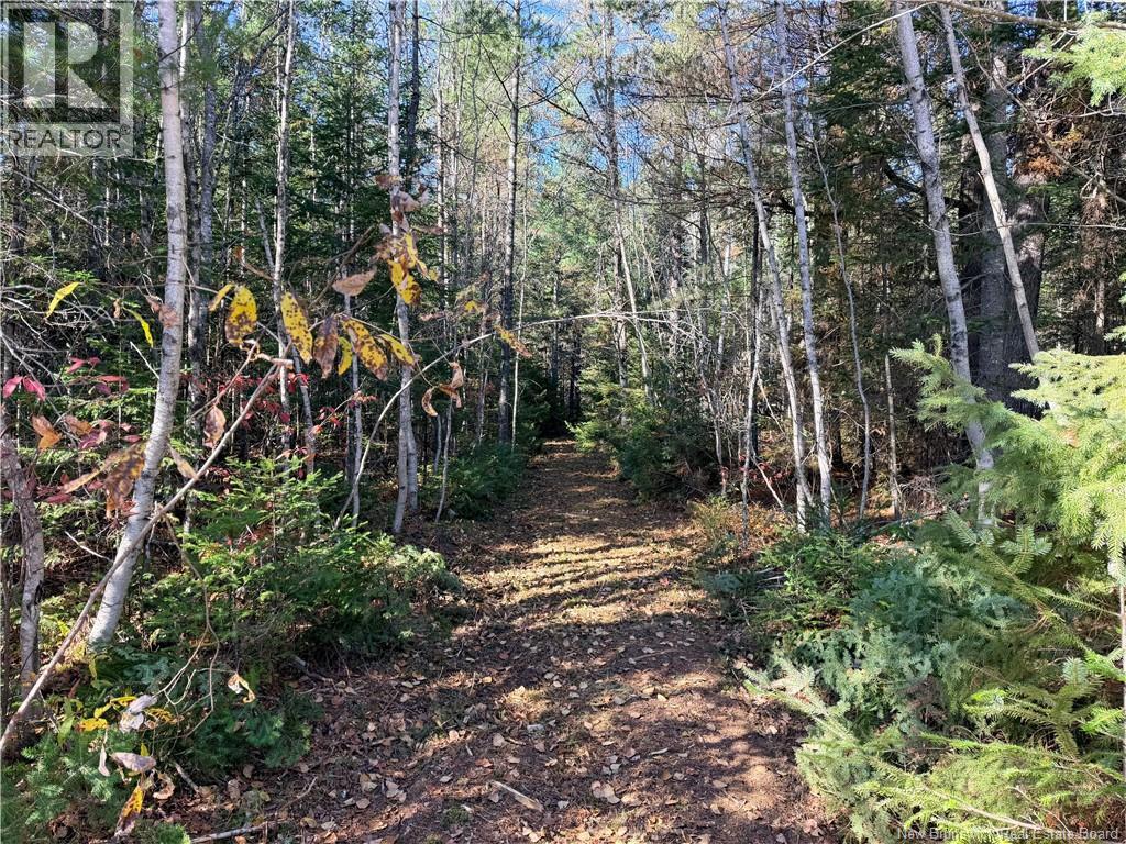 Lot 2 Route 112, coles island, New Brunswick