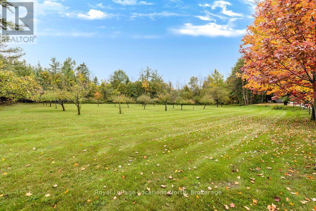 1000 Lawson Road, Tiny, Ontario  L0L 1P0 - Photo 49 - S14101252