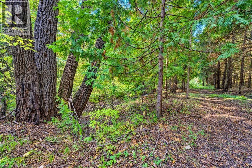 1163 Carmel Koch Road, St. Agatha, Ontario  N0B 2L0 - Photo 44 - 40872691